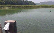  水產(chǎn)養(yǎng)殖水質(zhì)檢測標(biāo)準(zhǔn)，這五個方面讓水質(zhì)恢復(fù)清新