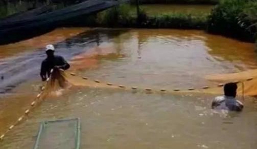 水渾了？不用怕，這五個方面讓水質(zhì)恢復(fù)清新